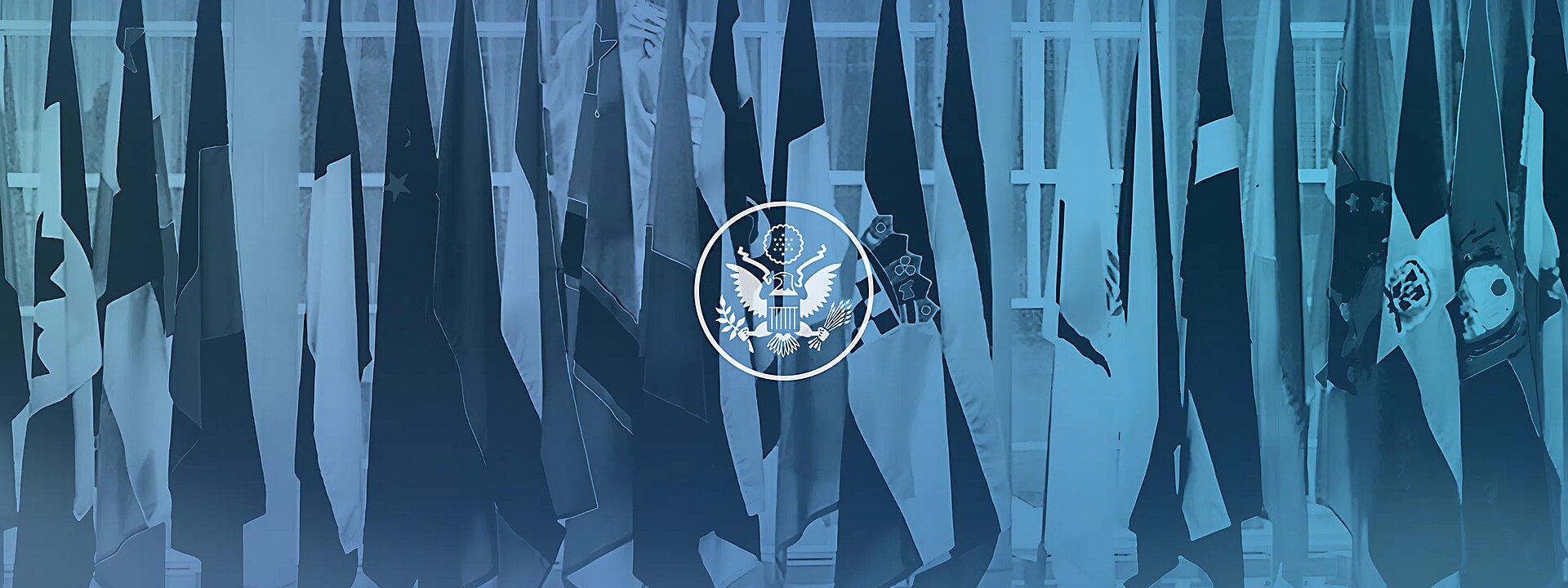 State Department Flag