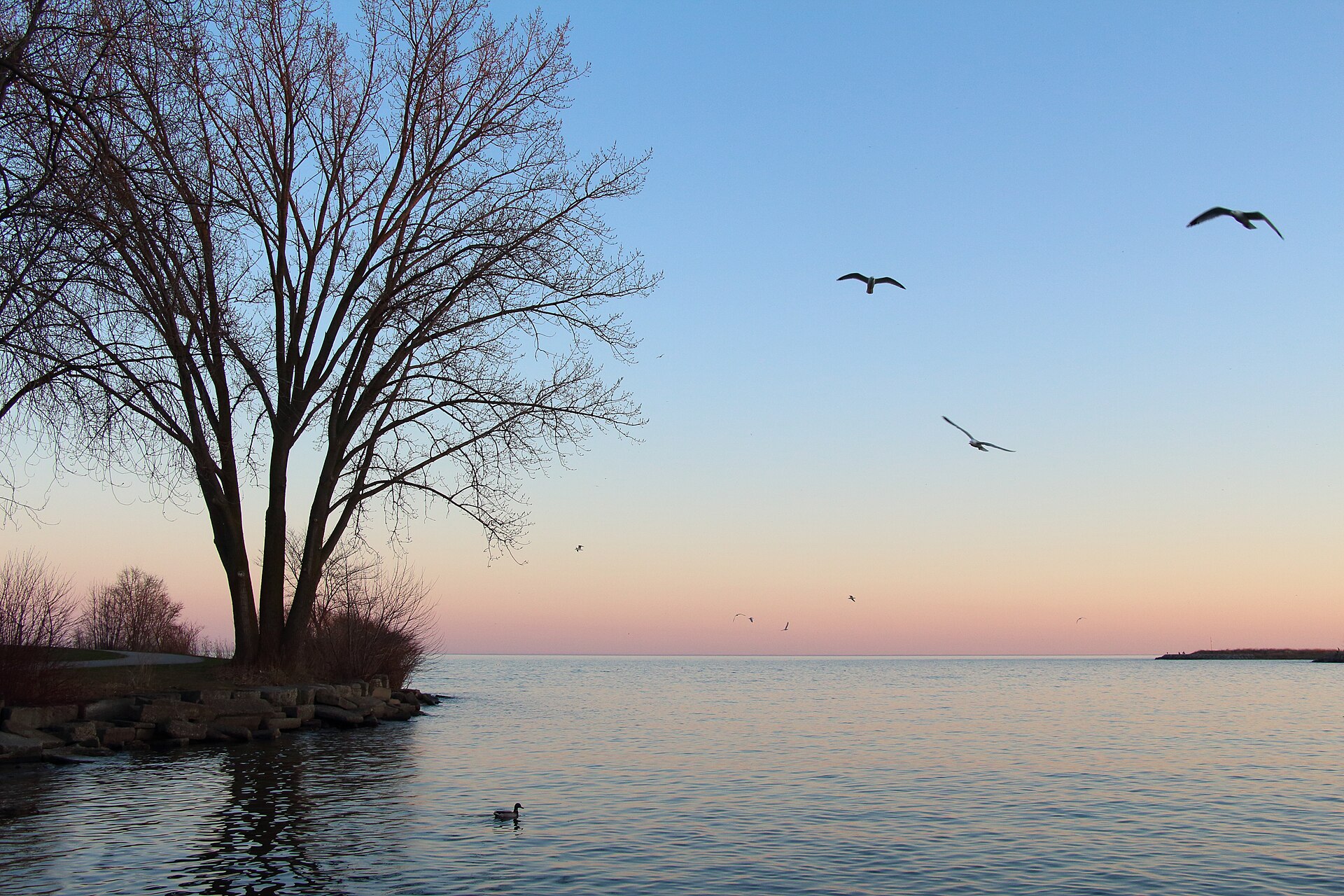 Lake Ontario Dusk