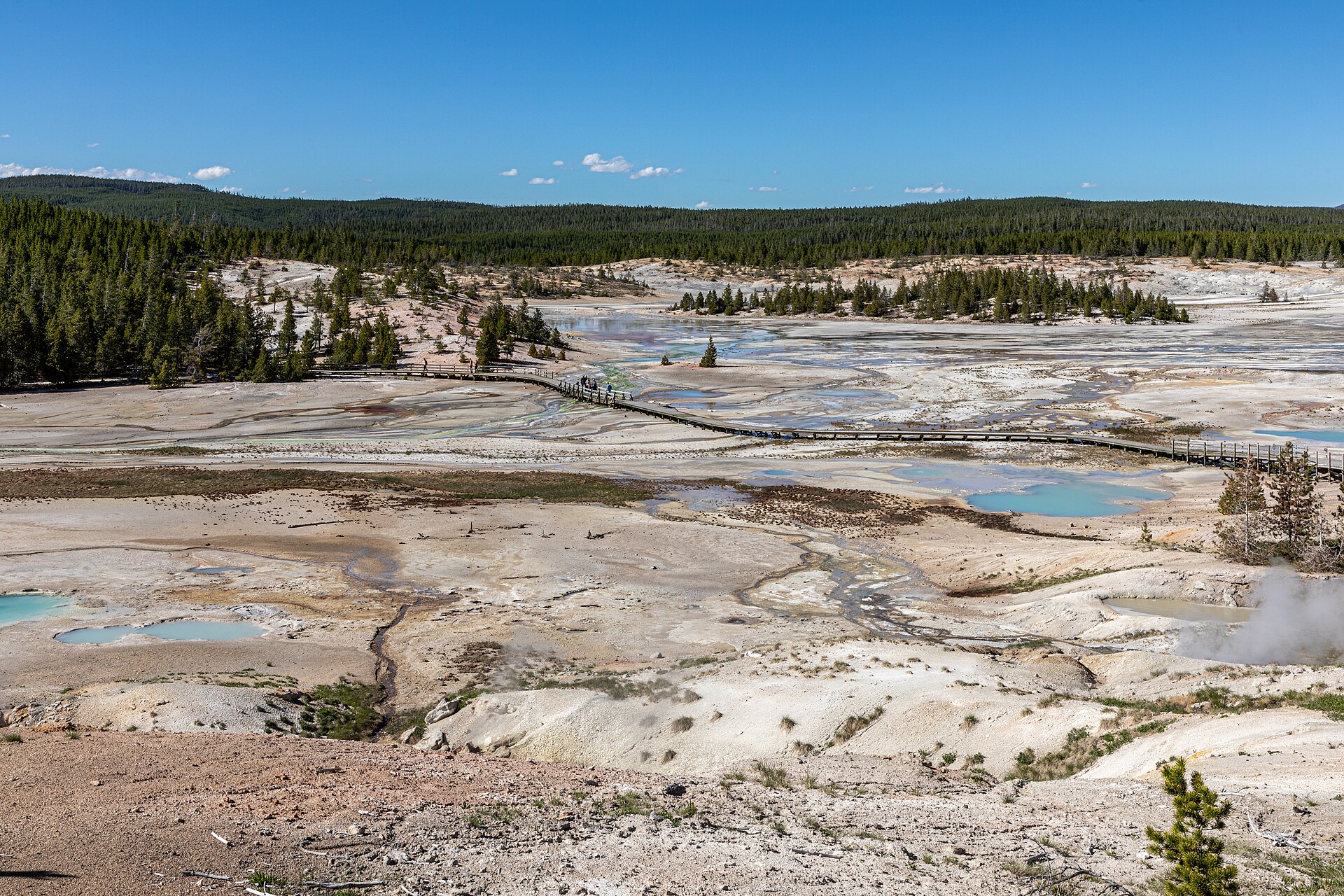 Yellowstone National Park (WY, USA), Norris Geyser Basin 2022 2681