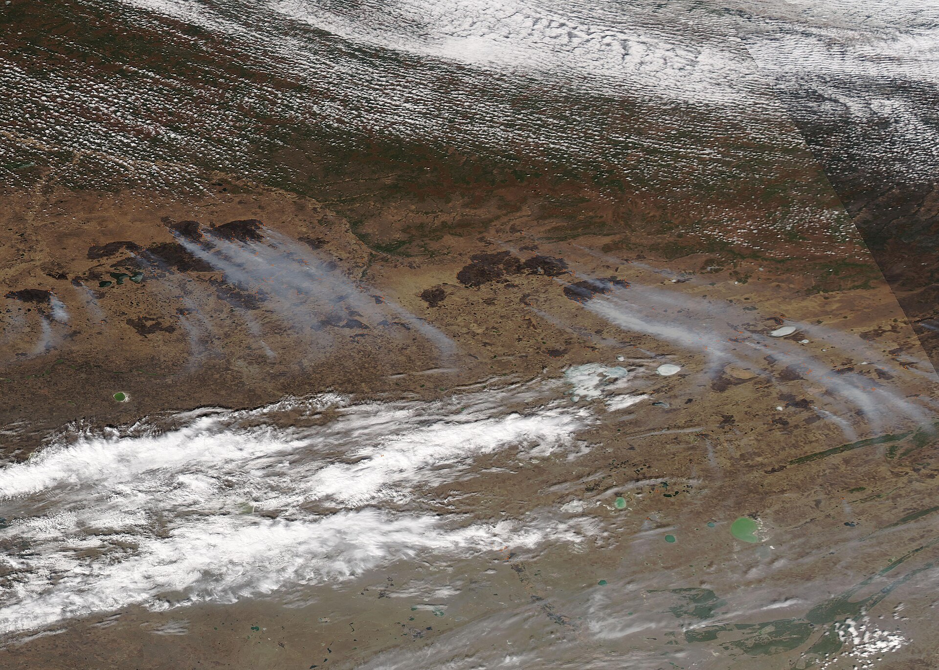 Large Wildfires and Burn Scars in Russia (MODIS)