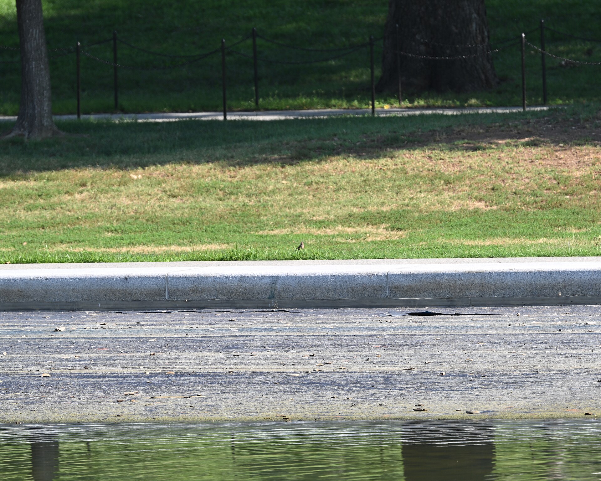 2026 07 13 damaged lining at the Lincoln Memorial Reflecting Pool 09 04 06