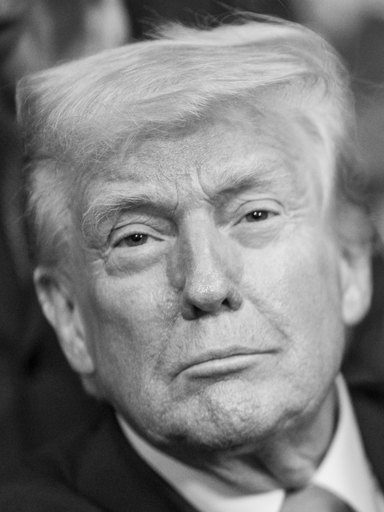 Donald Trump 2025 (cropped)