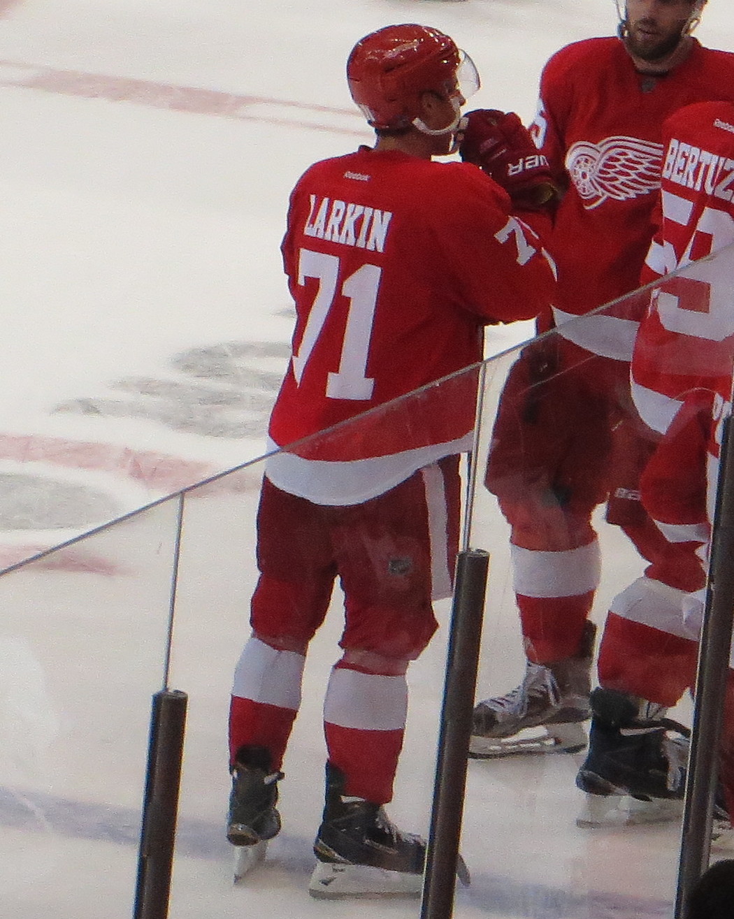 Dylan Larkin (21703876945) (1)
