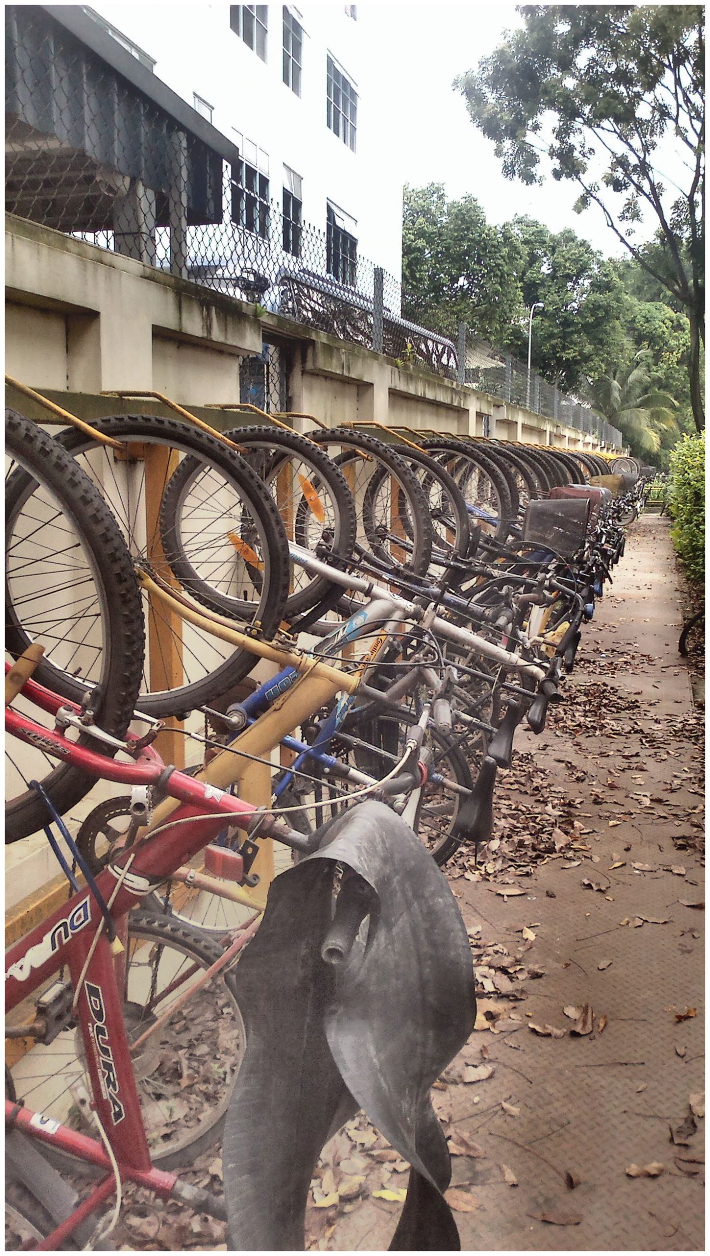 Workers&amp;#39; bikes (side view)