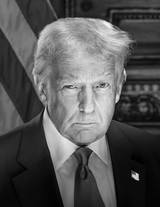 Presidential Portrait of Donald Trump, 2025