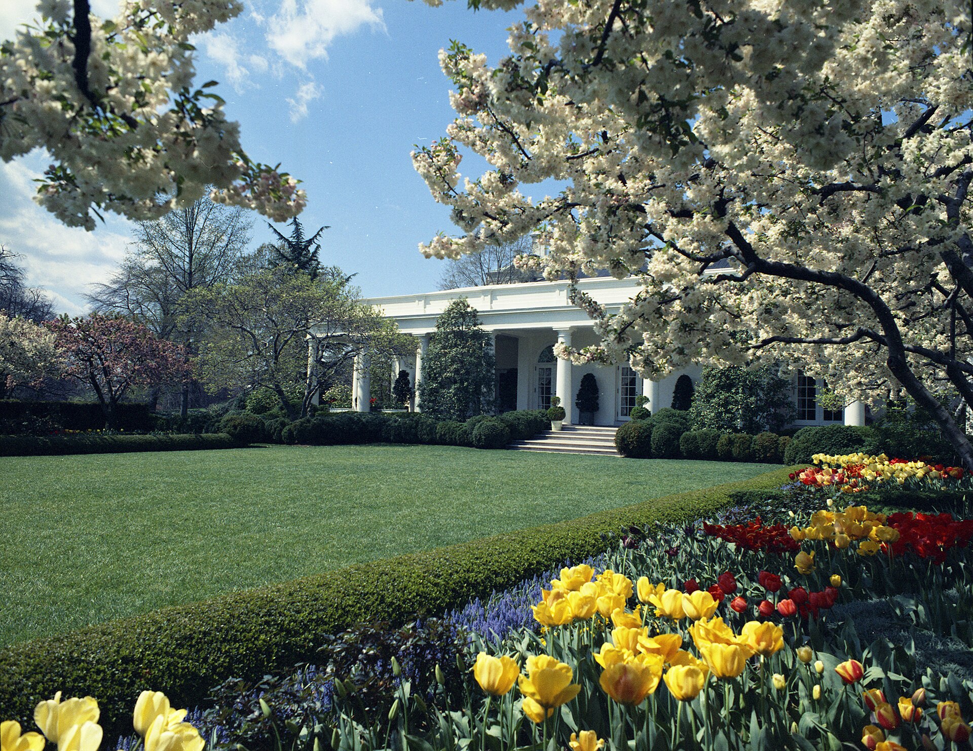 Spring in the White House Rose Garden NARA 6829650