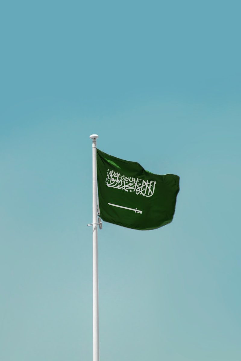 a flag on a pole